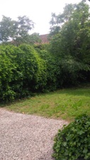Enlarge photo 23