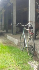 Enlarge photo 24