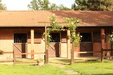 Enlarge photo 31