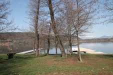 Enlarge photo 65