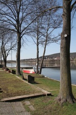 Enlarge photo 68