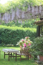 Enlarge photo 33