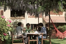 Enlarge photo 35