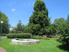 Enlarge photo 10