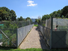 Enlarge photo 12