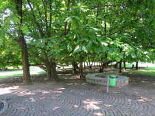 Enlarge photo 21