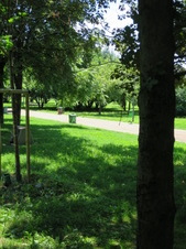 Enlarge photo 25