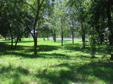 Enlarge photo 27