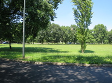 Enlarge photo 28