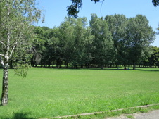 Enlarge photo 29