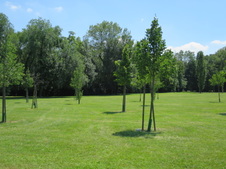 Enlarge photo 32