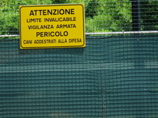 Enlarge photo 41
