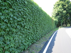 Enlarge photo 43