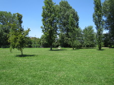 Enlarge photo 44