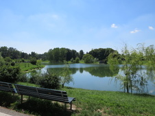 Enlarge photo 49
