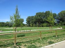 Enlarge photo 50