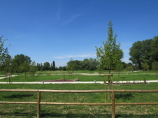 Enlarge photo 51