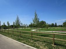 Enlarge photo 52