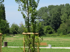 Enlarge photo 54