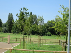 Enlarge photo 57