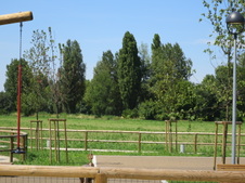 Enlarge photo 58