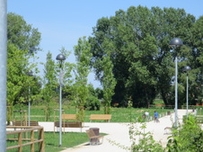 Enlarge photo 59