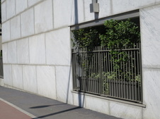 Enlarge photo 71