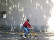 Enlarge photo 105