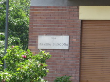 Enlarge photo 114