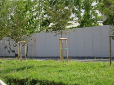 Enlarge photo 143