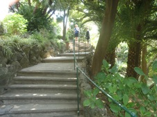 Enlarge photo 33