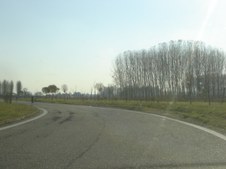 Enlarge photo 49