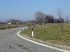 Enlarge photo 50