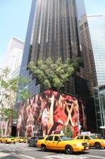 Enlarge photo 55
