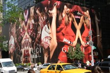 Enlarge photo 54