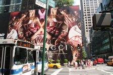 Enlarge photo 53