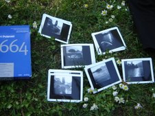 Enlarge photo 109