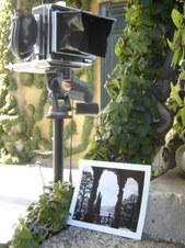 Enlarge photo 110