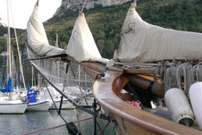 Enlarge photo 17