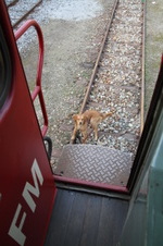 Enlarge photo 20