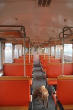 Enlarge photo 57