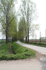 Enlarge photo 3