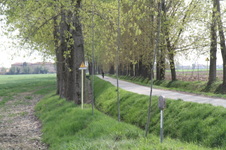 Enlarge photo 5