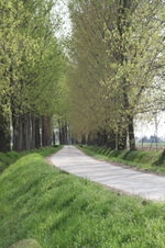 Enlarge photo 9