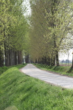 Enlarge photo 10