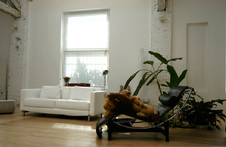 Enlarge photo 2
