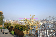 Enlarge photo 21