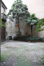 Enlarge photo 40