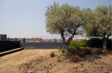 Enlarge photo 17