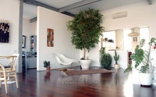 Enlarge photo 21